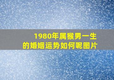 1980年属猴男一生的婚姻运势如何呢图片