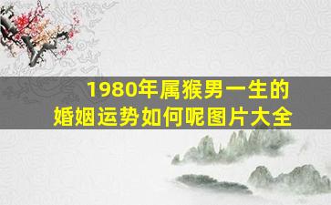 1980年属猴男一生的婚姻运势如何呢图片大全