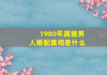 1980年属猴男人婚配属相是什么