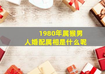 1980年属猴男人婚配属相是什么呢