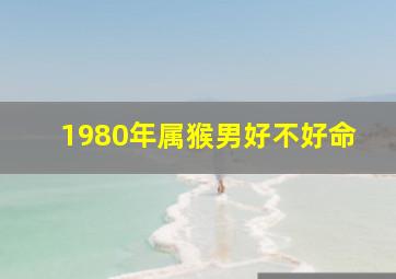 1980年属猴男好不好命