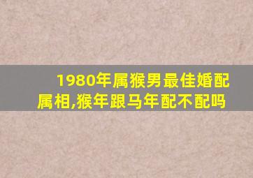 1980年属猴男最佳婚配属相,猴年跟马年配不配吗