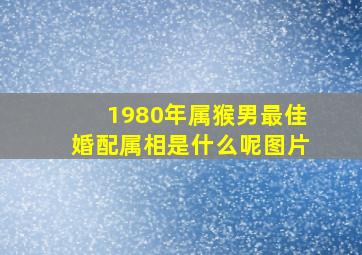 1980年属猴男最佳婚配属相是什么呢图片