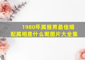 1980年属猴男最佳婚配属相是什么呢图片大全集