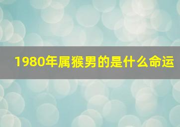 1980年属猴男的是什么命运