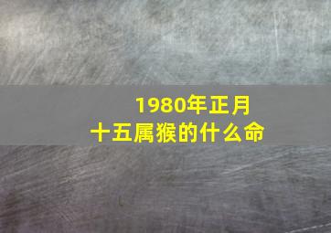 1980年正月十五属猴的什么命