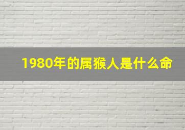 1980年的属猴人是什么命