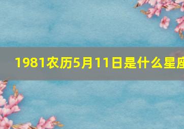 1981农历5月11日是什么星座