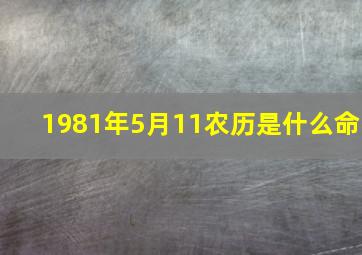 1981年5月11农历是什么命