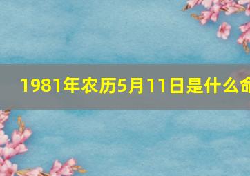 1981年农历5月11日是什么命