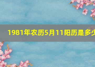 1981年农历5月11阳历是多少