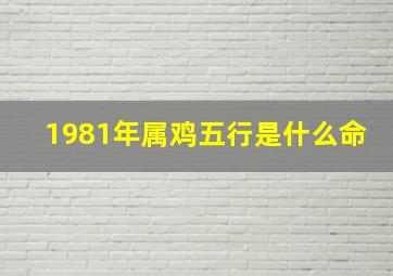 1981年属鸡五行是什么命