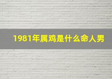 1981年属鸡是什么命人男