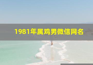 1981年属鸡男微信网名