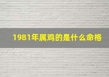 1981年属鸡的是什么命格