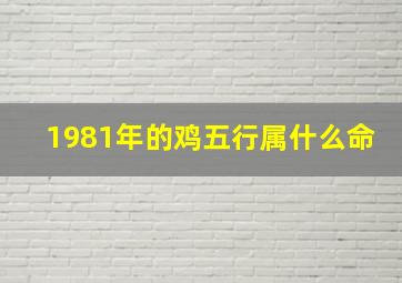 1981年的鸡五行属什么命