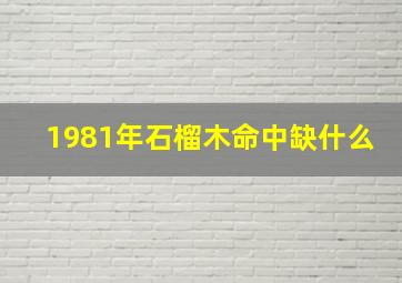 1981年石榴木命中缺什么