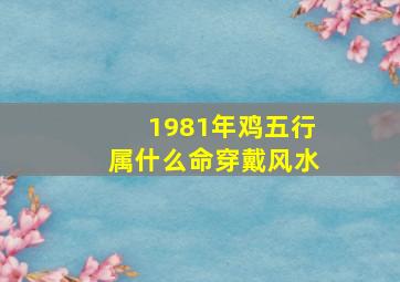 1981年鸡五行属什么命穿戴风水