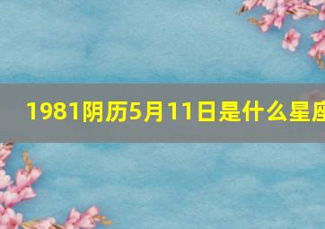 1981阴历5月11日是什么星座