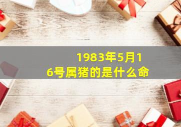 1983年5月16号属猪的是什么命