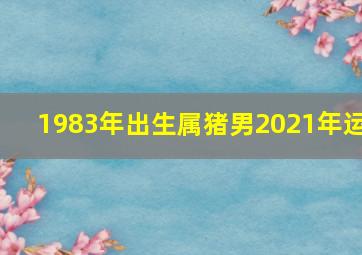 1983年出生属猪男2021年运