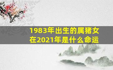 1983年出生的属猪女在2021年是什么命运