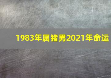 1983年属猪男2021年命运