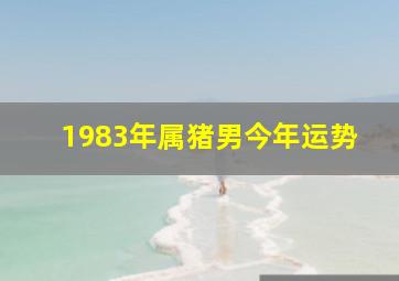 1983年属猪男今年运势