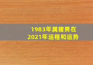 1983年属猪男在2021年运程和运势