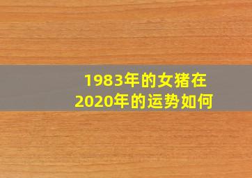 1983年的女猪在2020年的运势如何