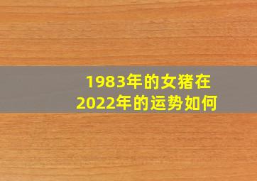 1983年的女猪在2022年的运势如何