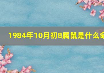 1984年10月初8属鼠是什么命