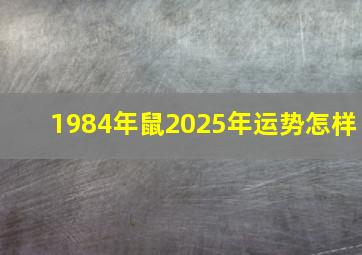 1984年鼠2025年运势怎样