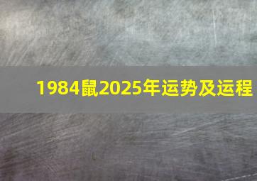 1984鼠2025年运势及运程