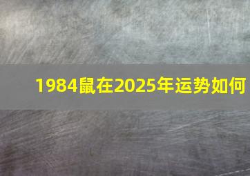 1984鼠在2025年运势如何