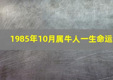 1985年10月属牛人一生命运