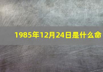 1985年12月24日是什么命