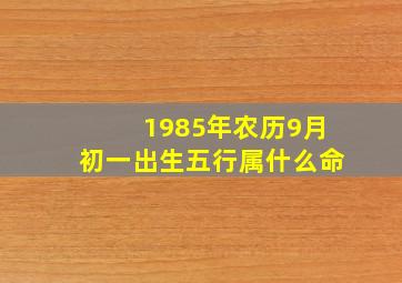 1985年农历9月初一出生五行属什么命