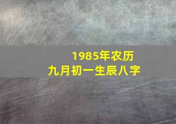 1985年农历九月初一生辰八字