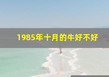 1985年十月的牛好不好