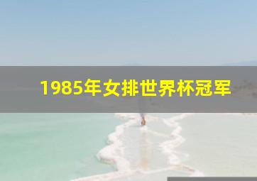 1985年女排世界杯冠军