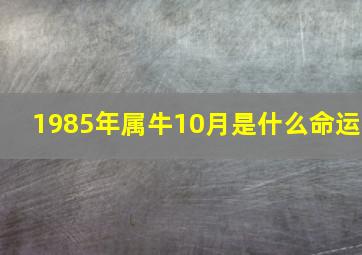 1985年属牛10月是什么命运