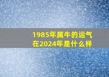 1985年属牛的运气在2024年是什么样