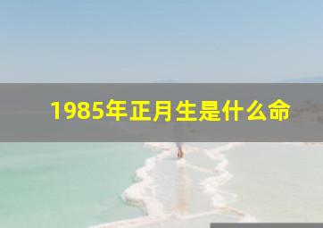 1985年正月生是什么命