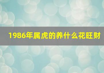 1986年属虎的养什么花旺财