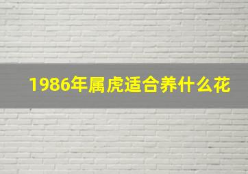 1986年属虎适合养什么花