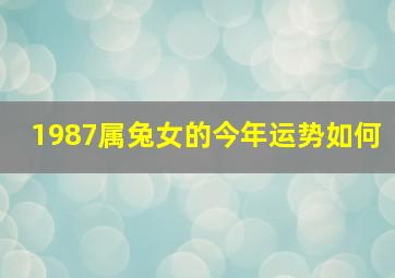 1987属兔女的今年运势如何