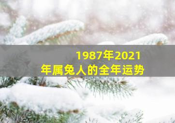 1987年2021年属兔人的全年运势