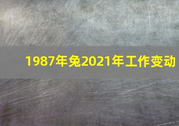 1987年兔2021年工作变动