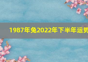 1987年兔2022年下半年运势